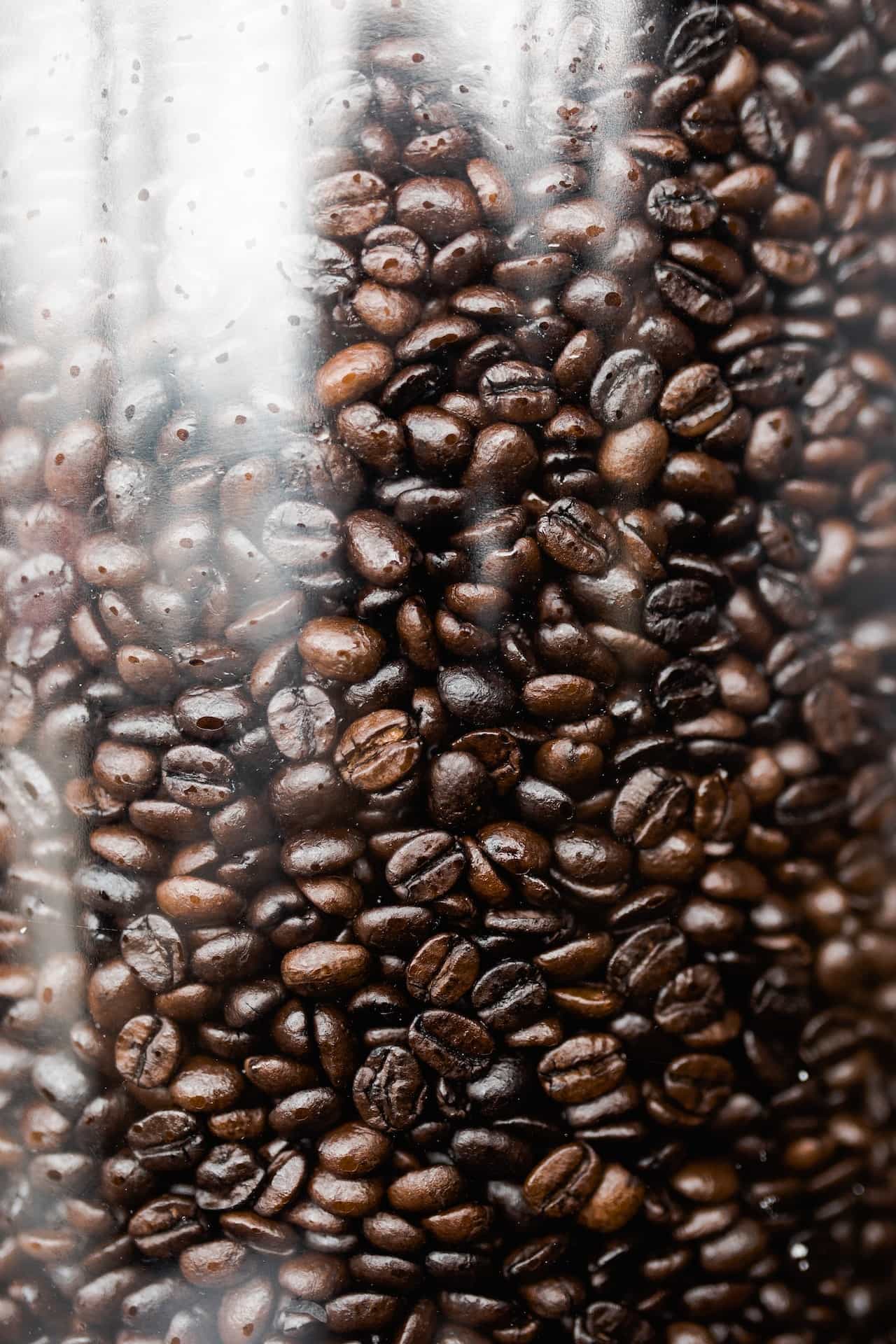 Roasted Coffee Beans